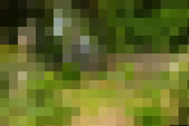 Koppenlaan 2 Soesterberg thumbnail 42