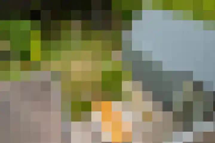 Koppenlaan 2 Soesterberg thumbnail 54