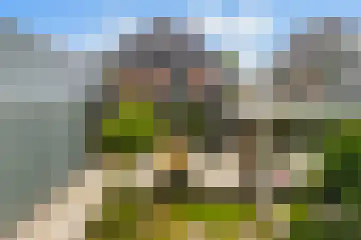 Koppenlaan 2 Soesterberg thumbnail 55