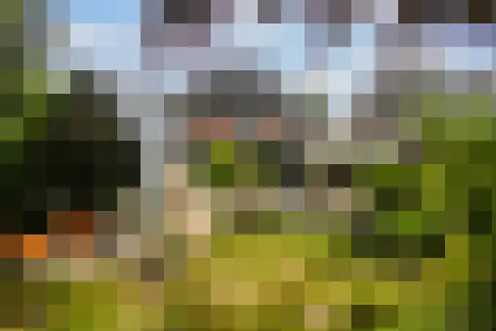 Koppenlaan 2 Soesterberg thumbnail 56