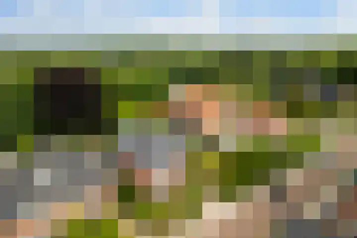 Koppenlaan 2 Soesterberg thumbnail 57