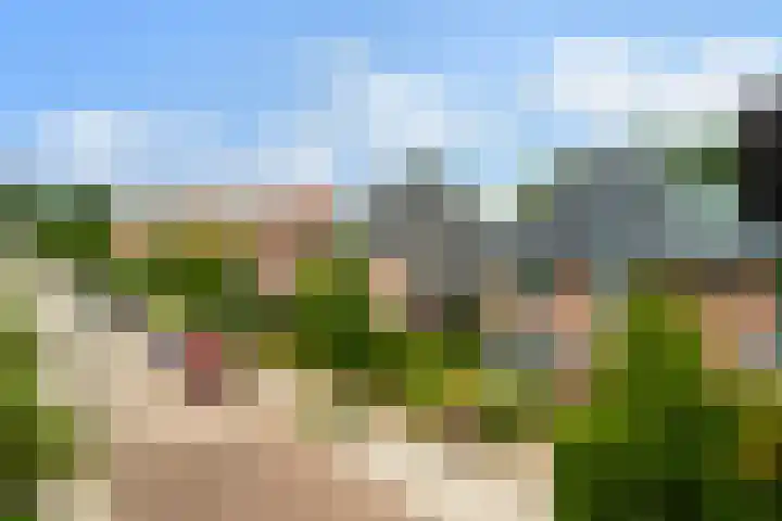 Koppenlaan 2 Soesterberg thumbnail 58