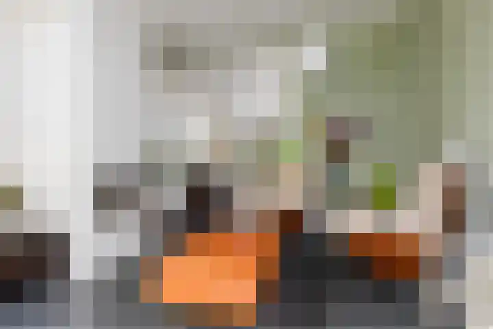 Koppenlaan 2 Soesterberg thumbnail 7