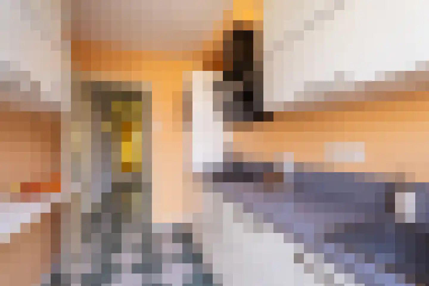 Koppestokstraat 13 Haarlem thumbnail 13