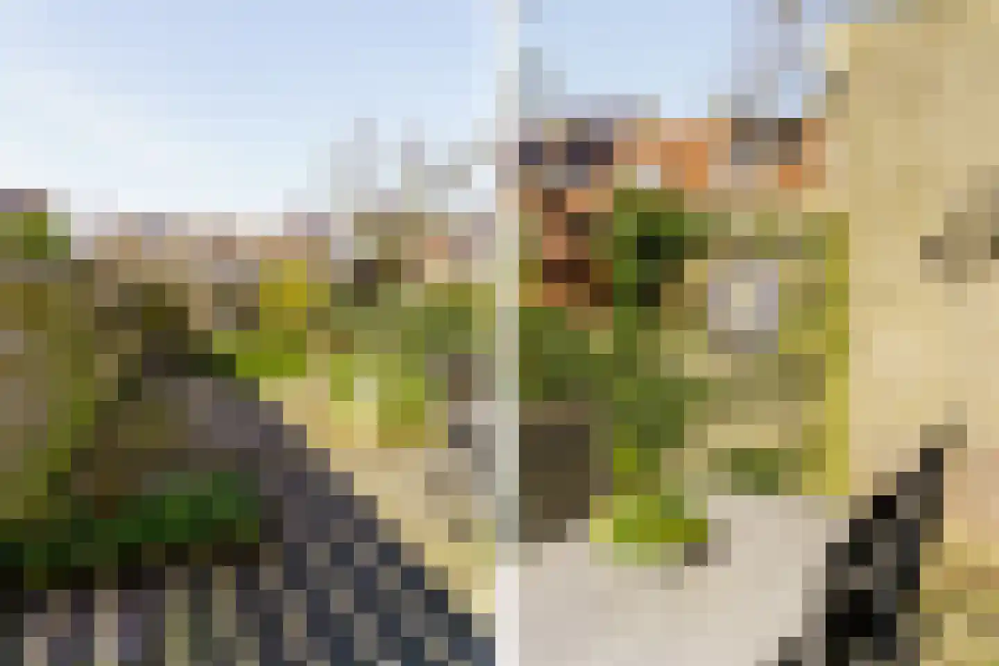 Koppestokstraat 13 Haarlem thumbnail 15