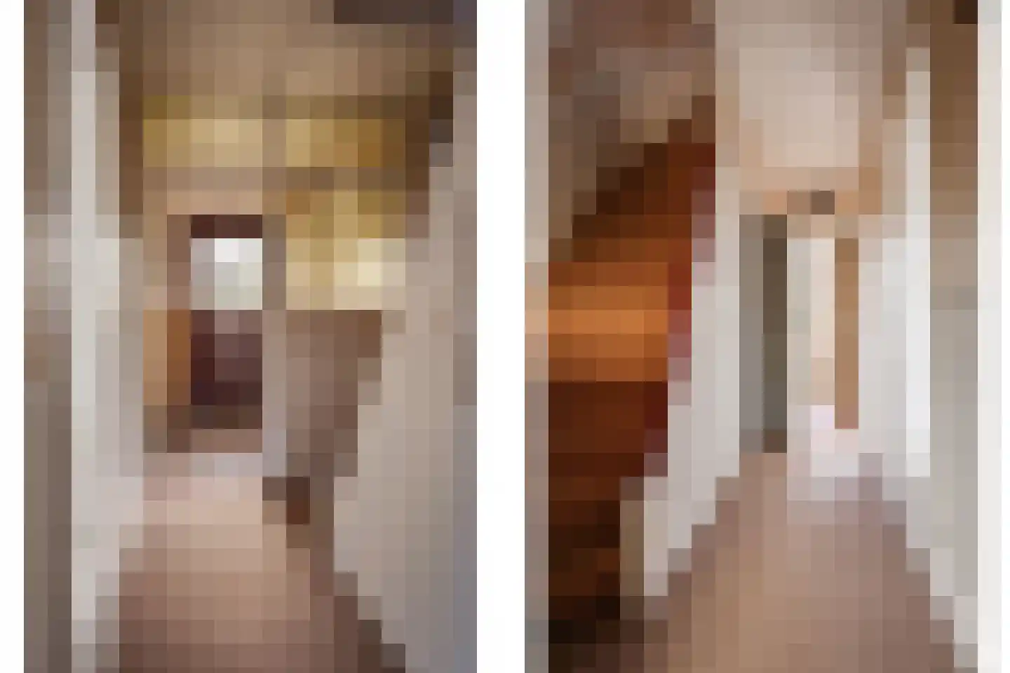 Koppestokstraat 21 Haarlem thumbnail 16