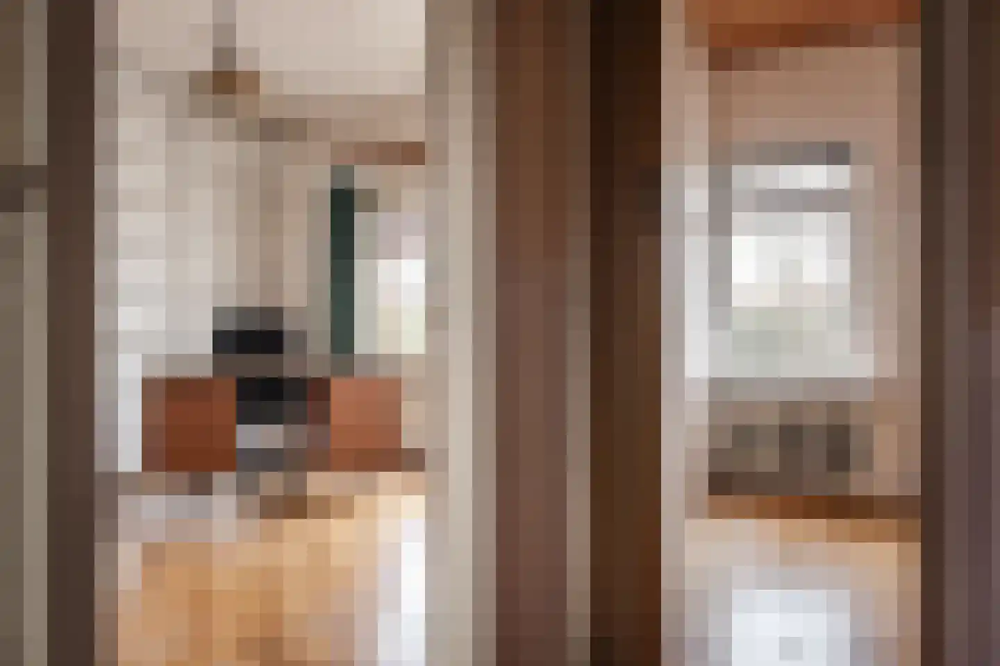 Koppestokstraat 21 Haarlem thumbnail 22