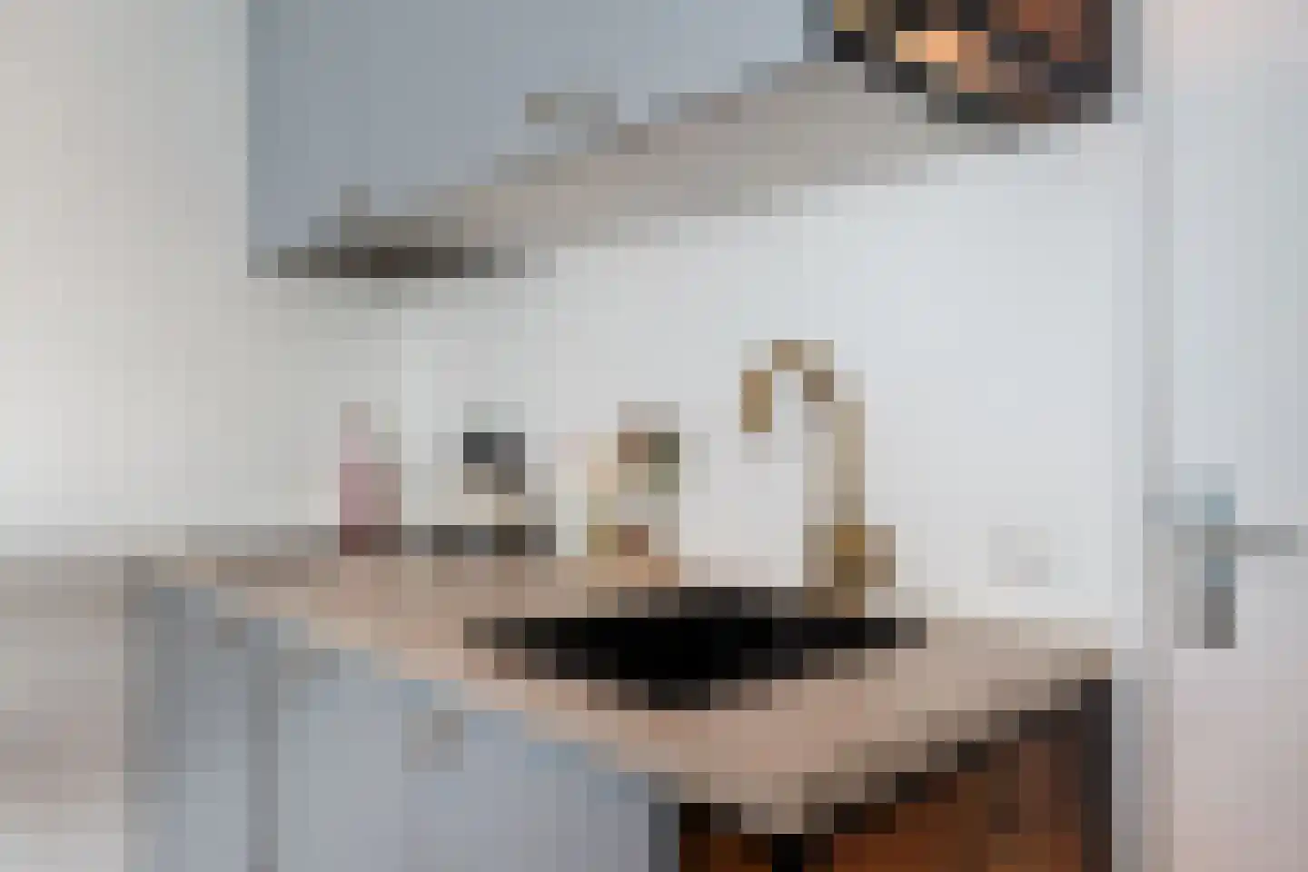 Koppestokstraat 31 G Utrecht thumbnail 6