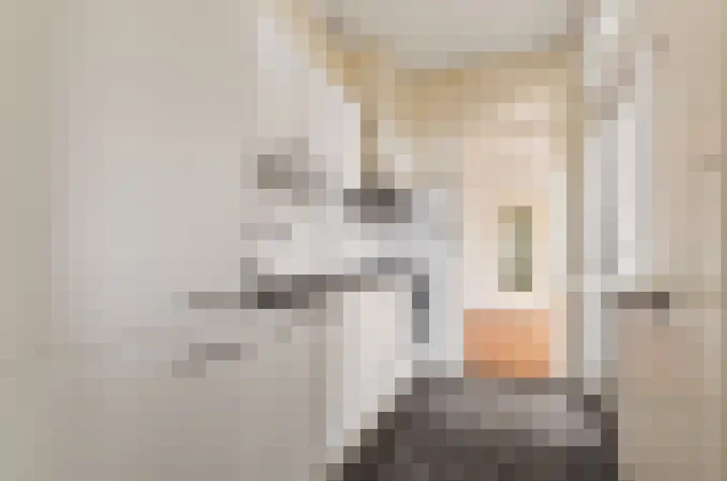 Koppestokstraat 47 Utrecht thumbnail 10
