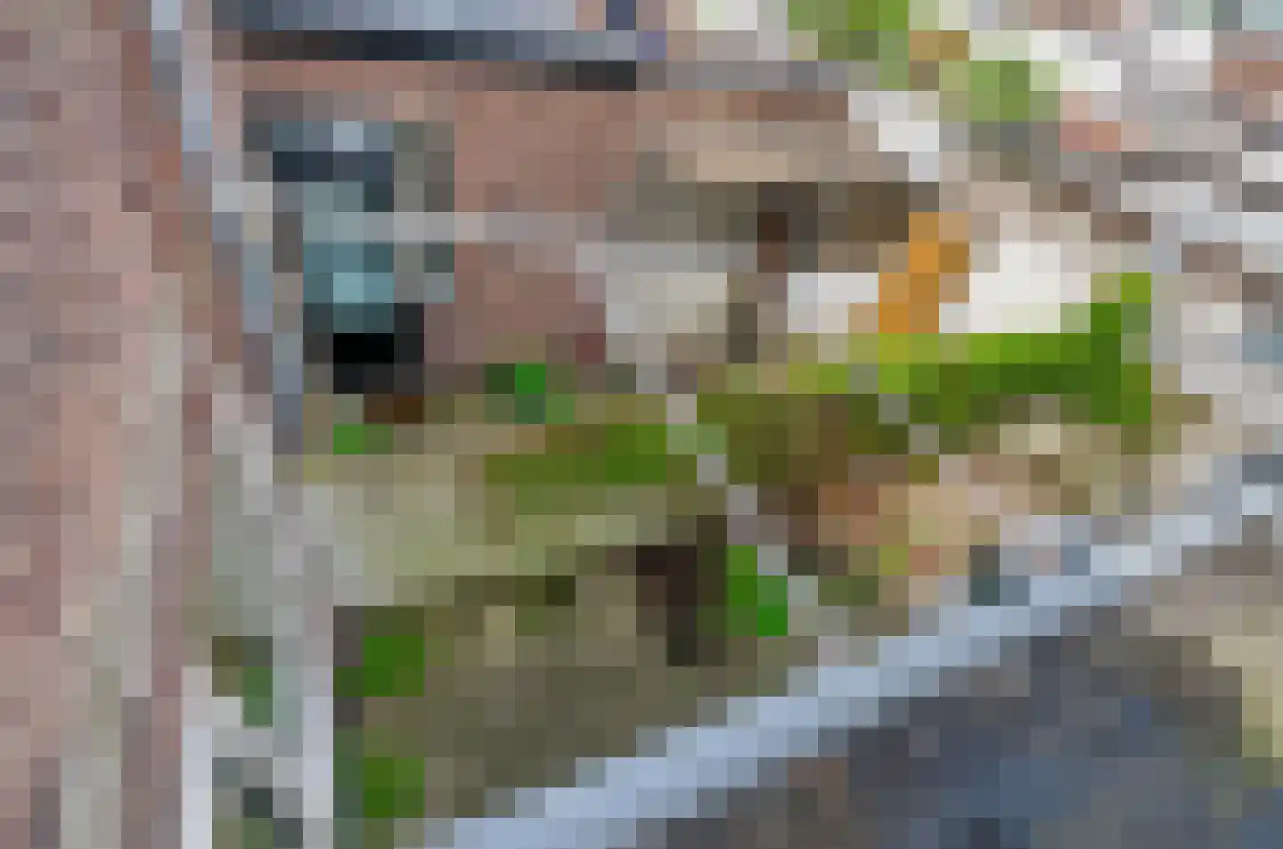 Koppestokstraat 47 Utrecht thumbnail 16