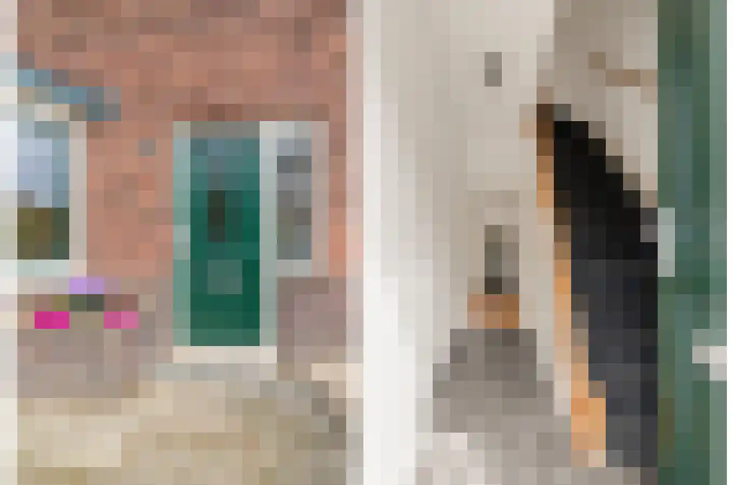 Koppestokstraat 47 Utrecht thumbnail 4
