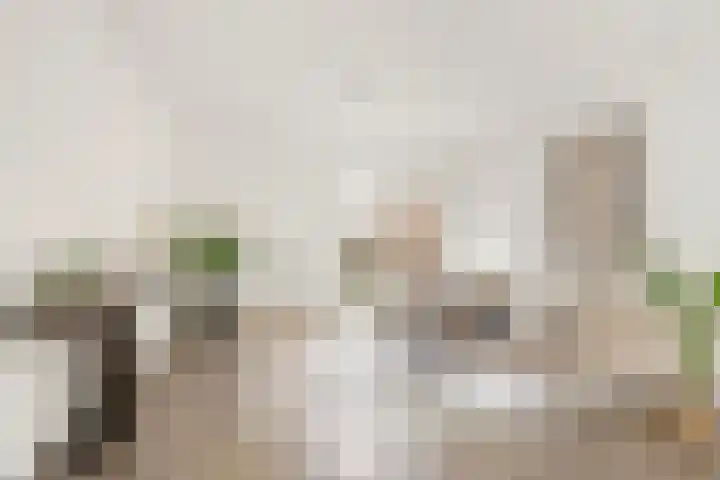 Koppestokstraat 50 Utrecht thumbnail 7