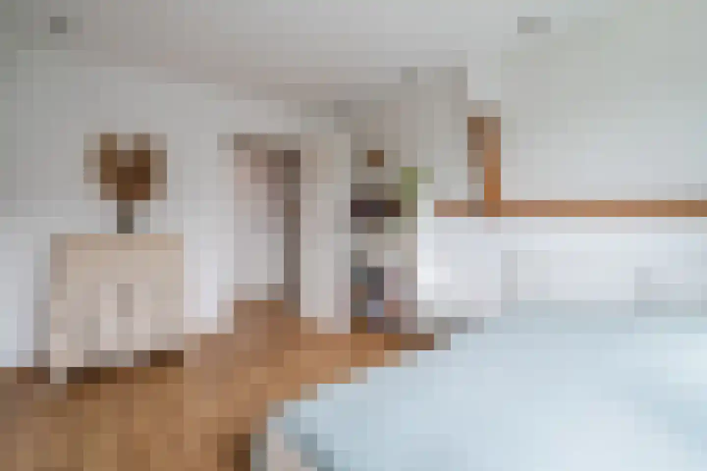 Koppestokstraat 54 Utrecht thumbnail 36