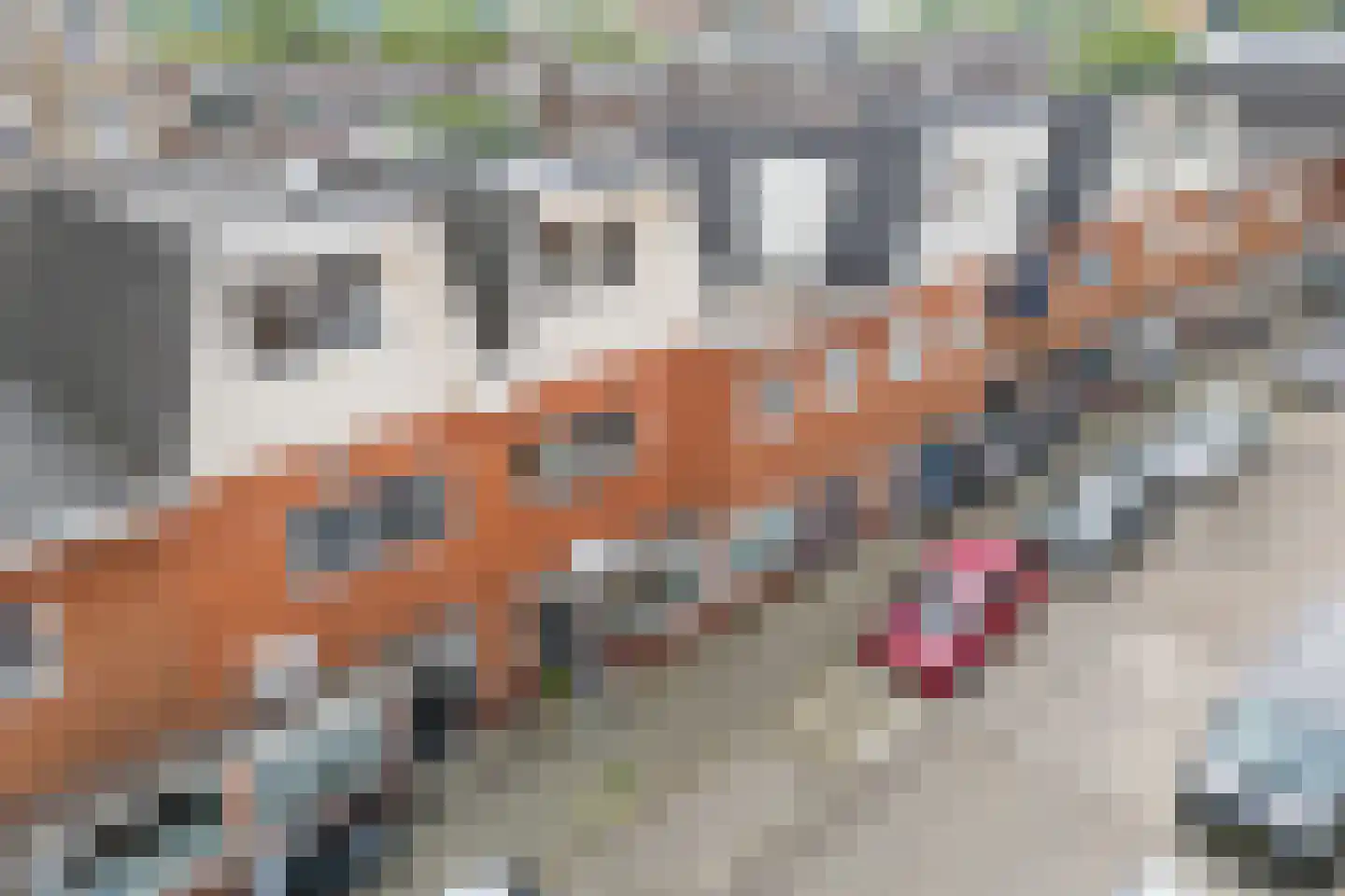 Koppestokstraat 54 Utrecht thumbnail 45
