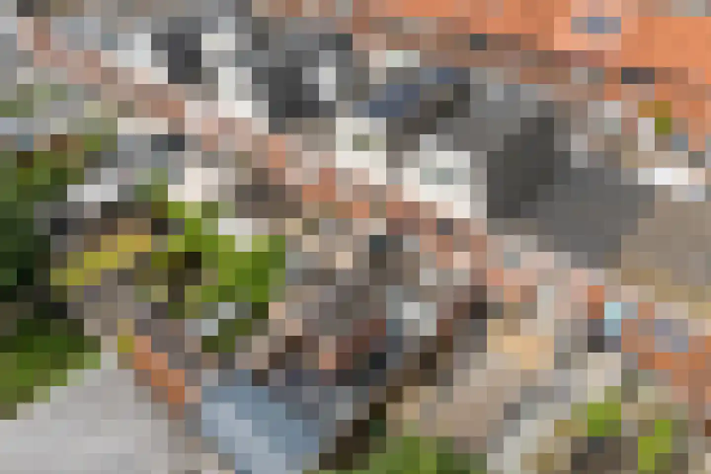 Koppestokstraat 54 Utrecht thumbnail 46