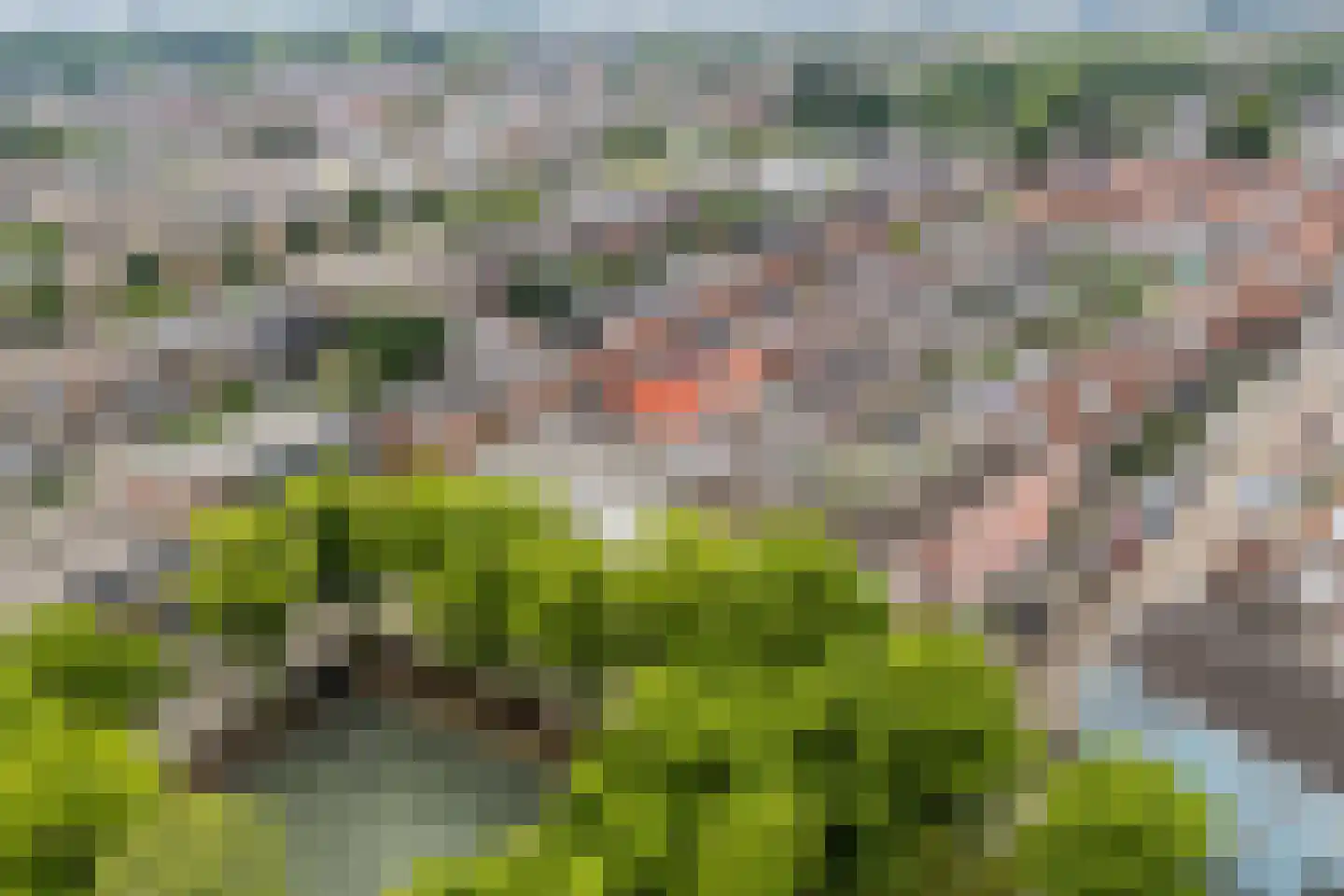 Koppestokstraat 54 Utrecht thumbnail 48