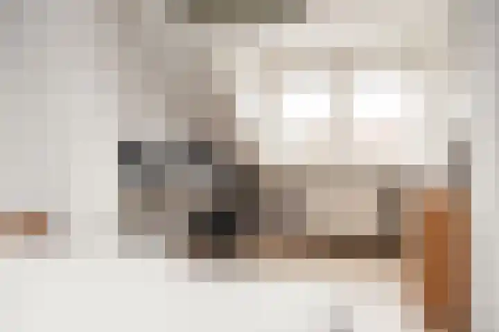 Koppestokstraat 57 Haarlem thumbnail 29