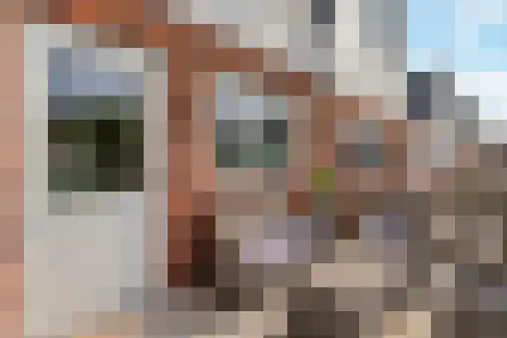 Koppestokstraat 64 Utrecht thumbnail 30