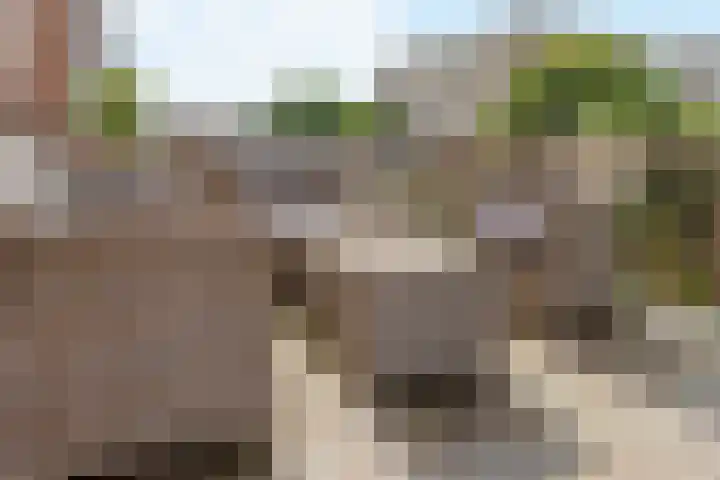 Koppestokstraat 64 Utrecht thumbnail 32
