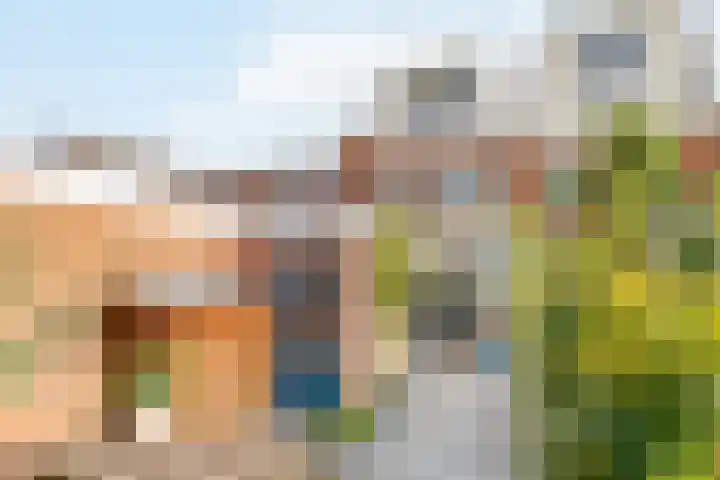 Koppestokstraat 64 Utrecht thumbnail 40