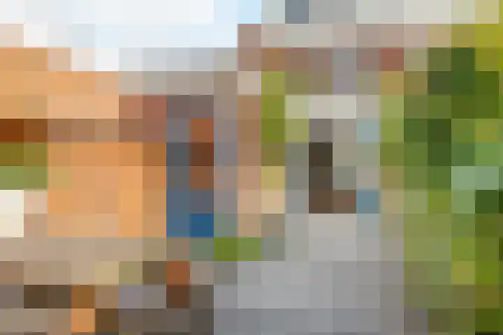 Koppestokstraat 64 Utrecht thumbnail 41
