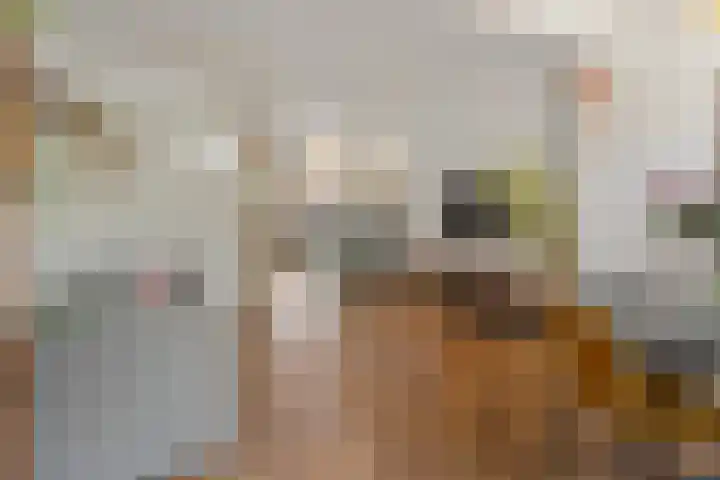 Koppestokstraat 64 Utrecht thumbnail 6
