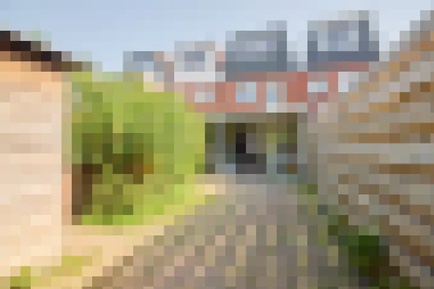 Koppestokstraat 90 Utrecht thumbnail 14
