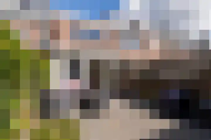 Koppestokstraat 96 Utrecht thumbnail 18