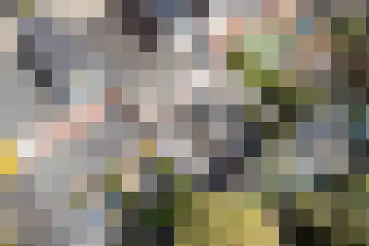 Koppestokstraat 96 Utrecht thumbnail 46
