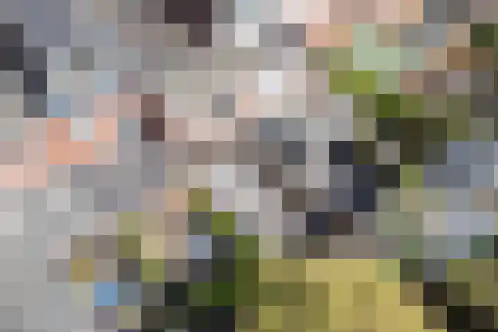 Koppestokstraat 96 Utrecht thumbnail 47