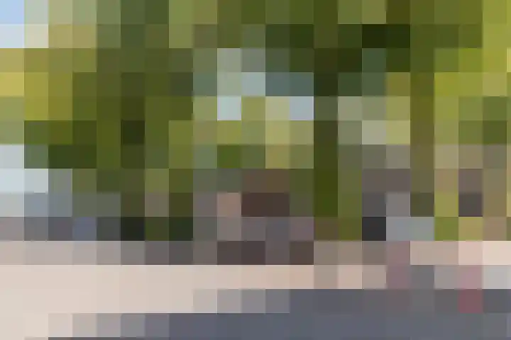 Koppestokstraat 96 Utrecht thumbnail 53