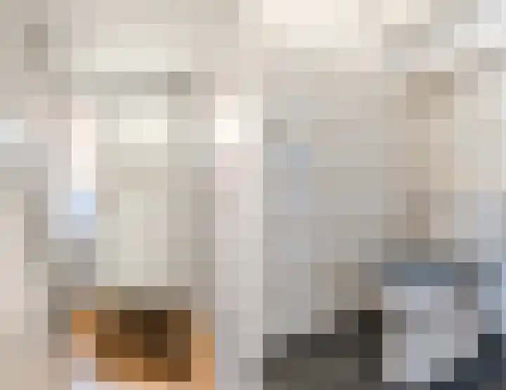 Koppestokstraat 96 Utrecht thumbnail 6