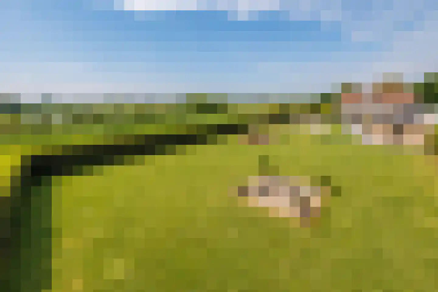Kopseweg 17 Middelaar thumbnail 105