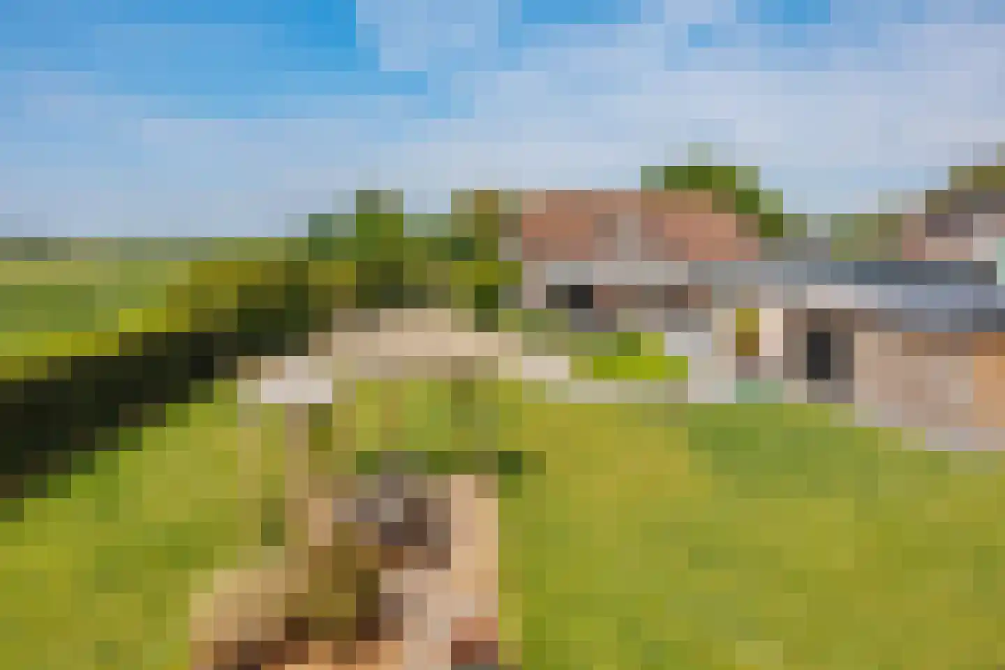 Kopseweg 17 Middelaar thumbnail 106