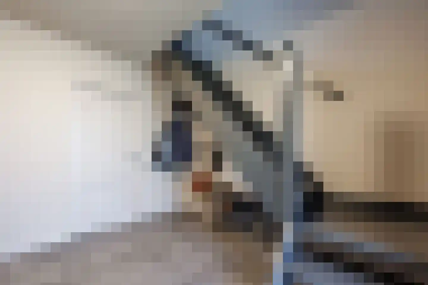 Kopseweg 17 Middelaar thumbnail 6