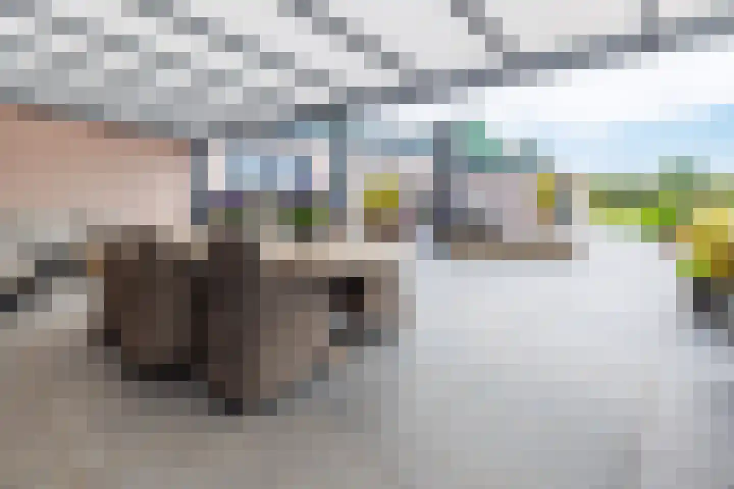 Kopseweg 17 Middelaar thumbnail 76