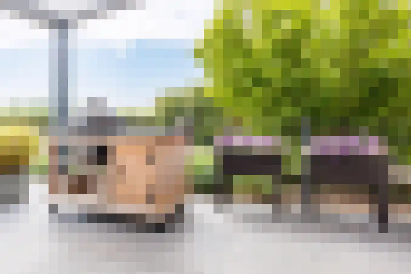 Kopseweg 17 Middelaar thumbnail 77