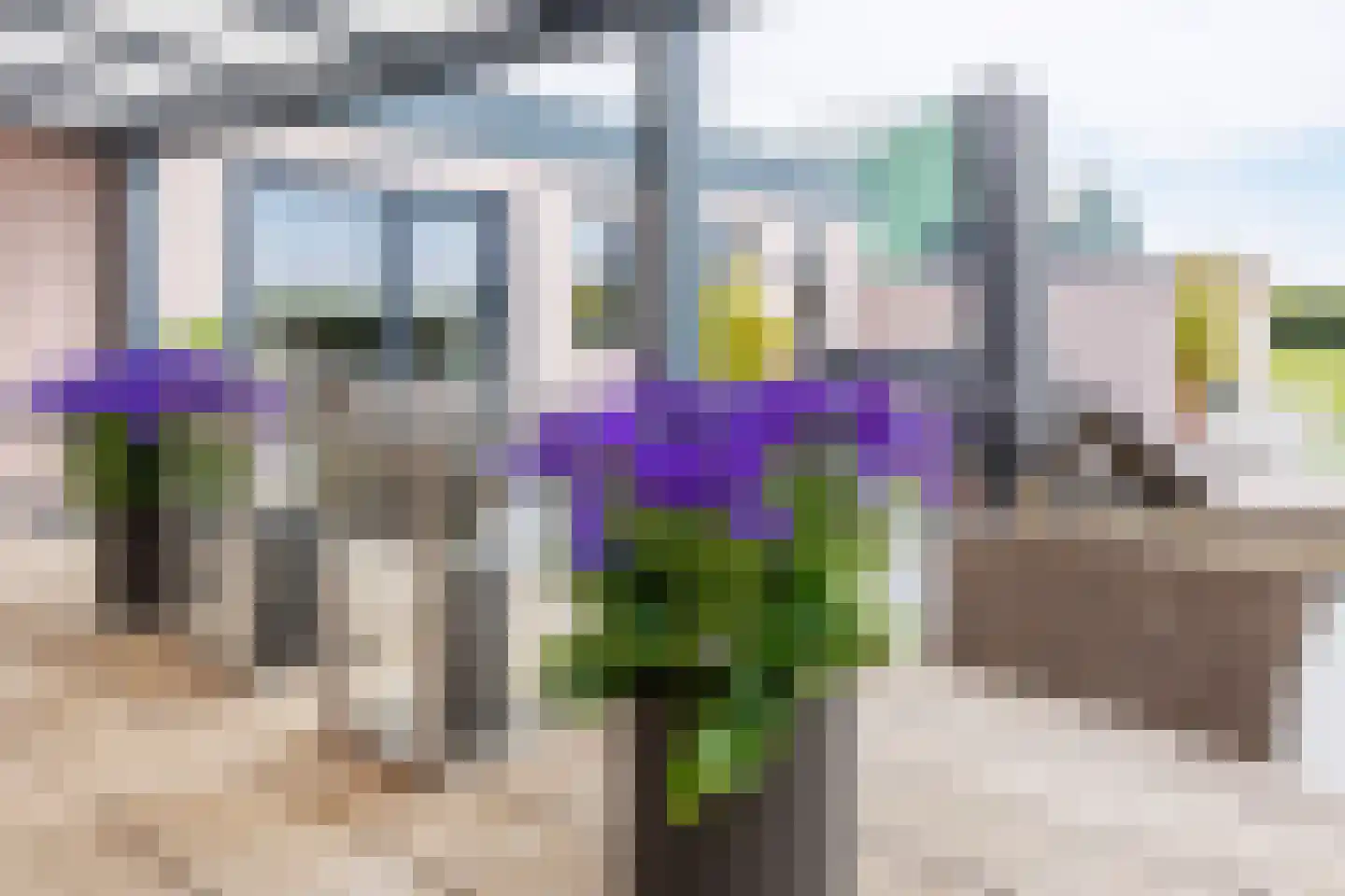 Kopseweg 17 Middelaar thumbnail 78
