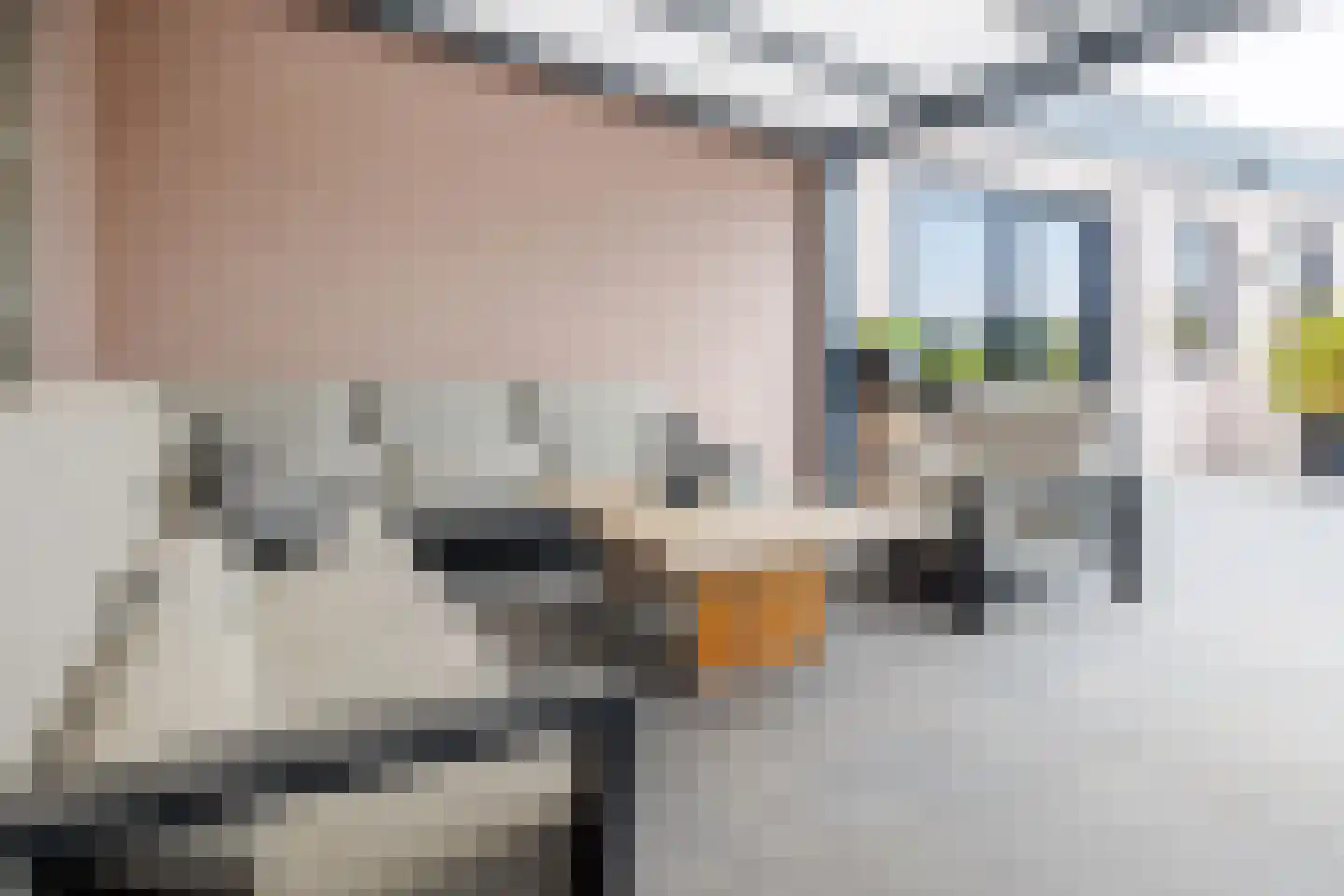 Kopseweg 17 Middelaar thumbnail 79