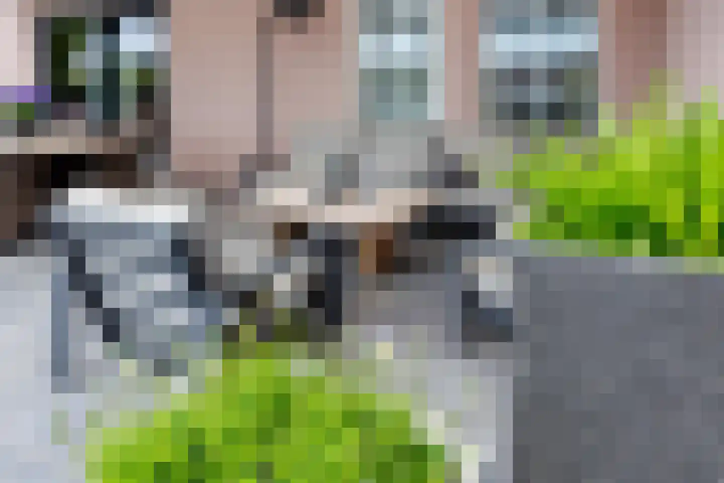 Kopseweg 17 Middelaar thumbnail 82