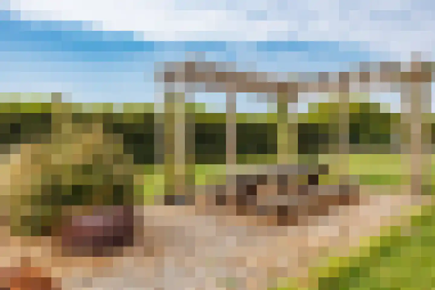 Kopseweg 17 Middelaar thumbnail 94