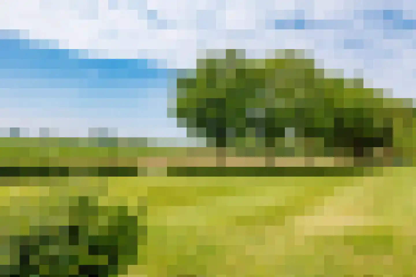 Kopseweg 17 Middelaar thumbnail 99