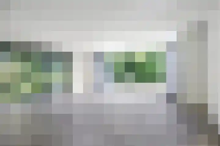 Kopseweg 9 C Nijmegen thumbnail 10