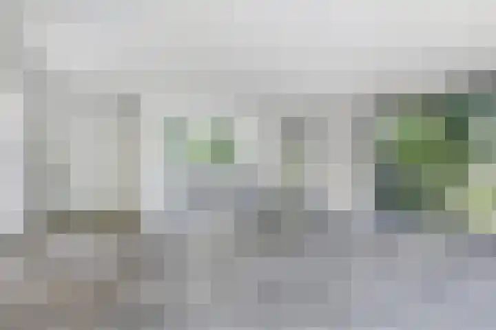Kopseweg 9 C Nijmegen thumbnail 16