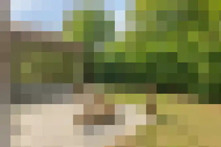 Kopseweg 9 C Nijmegen thumbnail 38