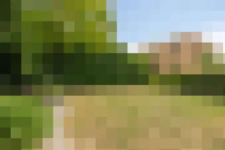 Kopseweg 9 C Nijmegen thumbnail 42