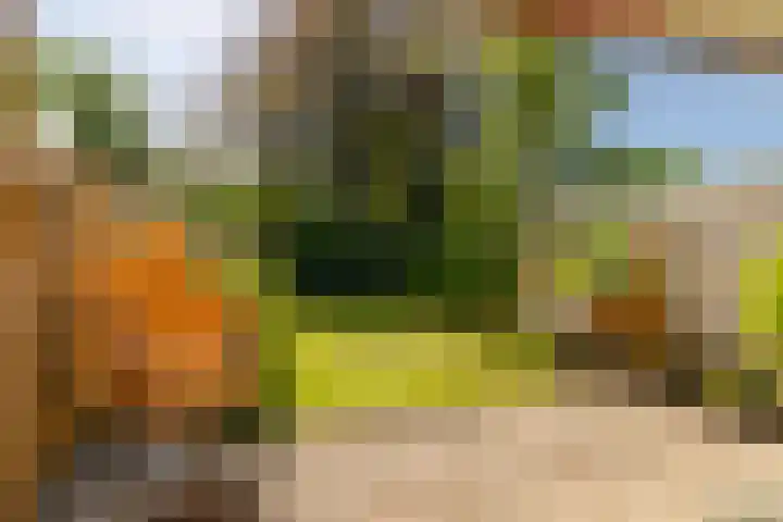 Kopslaan 11 Santpoort-Zuid thumbnail 10