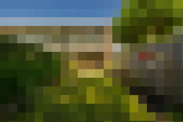 Kopslaan 11 Santpoort-Zuid thumbnail 12
