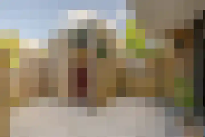 Kopslaan 11 Santpoort-Zuid thumbnail 21