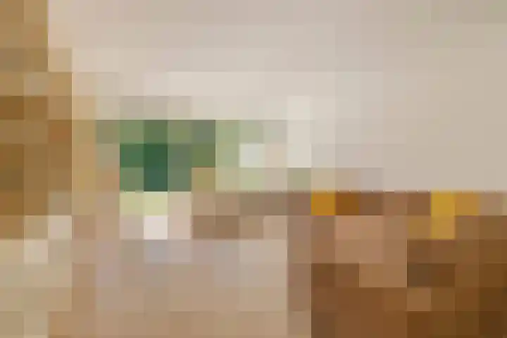 Kopslaan 11 Santpoort-Zuid thumbnail 5